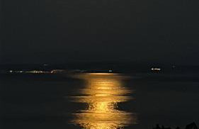 Apartmani ViVa - Foto 44