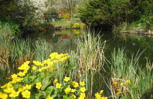 Ferienwohnungen "Christelhof" - Foto 47