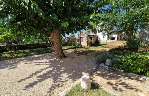 Apartment Gina - Foto 31