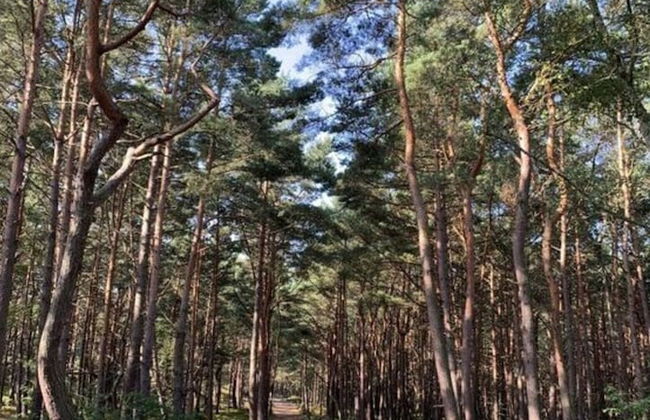 Cathedral Whispers Modern Retreat - Foto 24