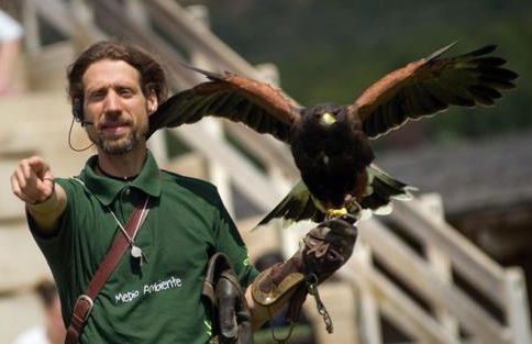 Casa Soto Del Ebro - Foto 33