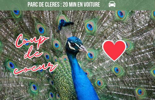 La Maison des Plantes, charmante, atypique et cosy pour 4 personnes avec parking et jardin - Photo 34