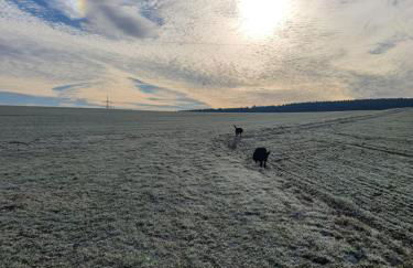 Ferienwohnung am sonnigen Haimberg - Foto 49