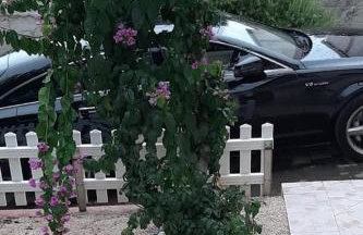 Apartments with parking space Artatore, Losinj - 24890 - Foto 8