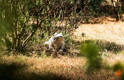 La maison des vendangeurs - Foto 35