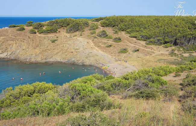 White Rock Villa With Breathtaking Views and Pool - Foto 38