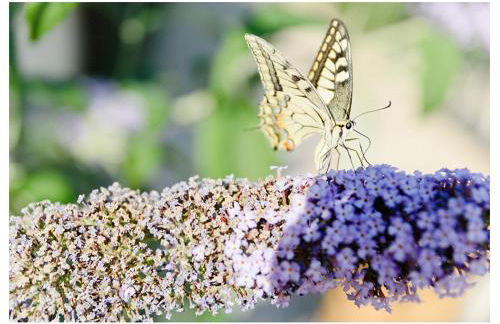 Agriturismo Monte Cologna - Photo 91