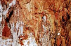 Cardona Fira - Photo 66