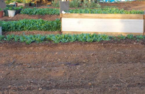 Casa Fonte - Foto 10