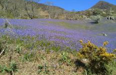 West Cumbria static caravan - Foto 47