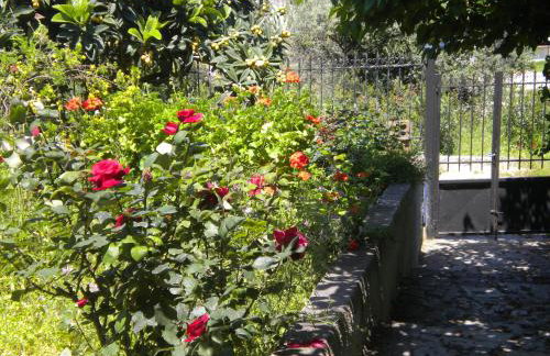 ILIOCHARI sea view apartments Oropos - Kalamos - Foto 32