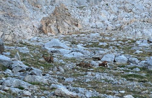 El Serenal - Photo 41