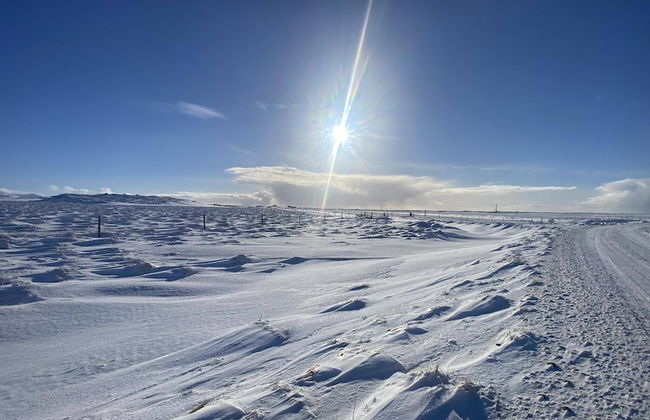 Álftártunga farm guesthouse - Foto 50