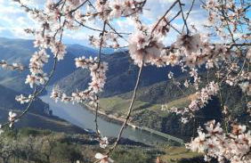 Andar Moradia T4 na Casa do Olival - Foto 34