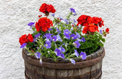 Agriturismo Maso Runch - Foto 44