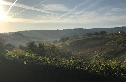 Vineyard Farmhouse in Massignano - Foto 29