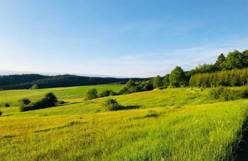 Rennscheune - Himmlisch in die Grüne Hölle - Foto 20