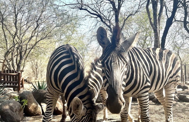 Kruger Kumba - Lahlekile Nathi - Photo 55