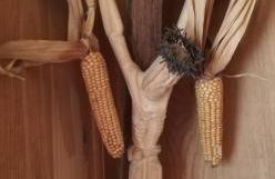 Ferienwohnungen St Hippolyt mit Hallenbad - Foto 32