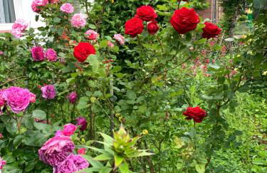 Brakel Monteu -Ferin Wohnung 1-5xDouble Zimmer - Foto 33