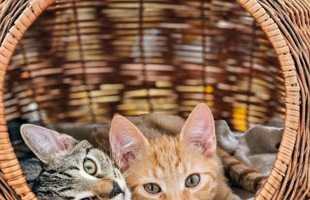 Butikowe apartamenty w Sudetach - TRZY MORZA - pod górą Trójmorski Wierch - Foto 10