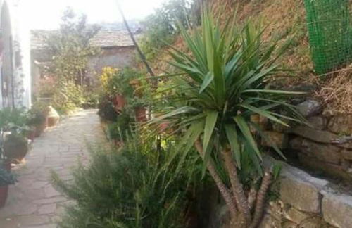 Xrysanthi's dream house - Foto 65