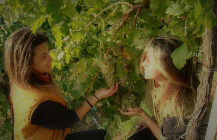 Agriturismo Al Credazzo - Foto 25