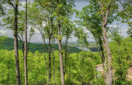 Sky High Lodge - Blue Ridge - Foto 36