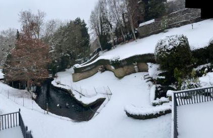 Exquisite 1-bedroom apartment with on-site parking - Foto 26