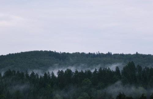 Domki w Bieszczadach Nowa Zelandia - Photo 29