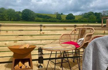 Coedydd - Woods - Foto 18