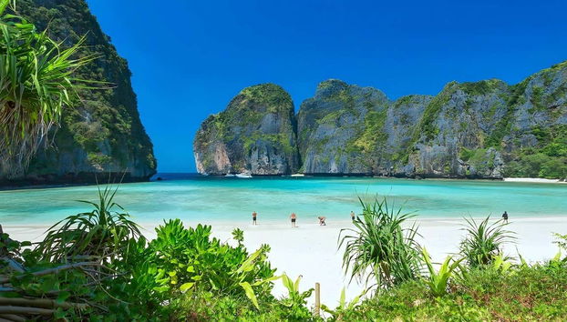 See paradisiacal beaches