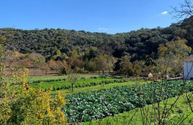 Casa Rural La Senda de Aroche - Foto 17