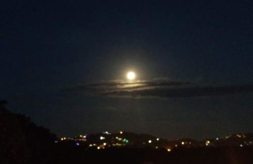 Apartamento moderno con vista reserva ecológica - Foto 22