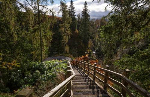 Pigeon Cottage - Luxury country steading - Photo 22