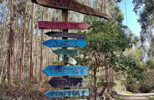 Casa Martim - Foto 59