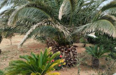 Cottage with 1 bedroom in the most wonderful place - Amare - Foto 13