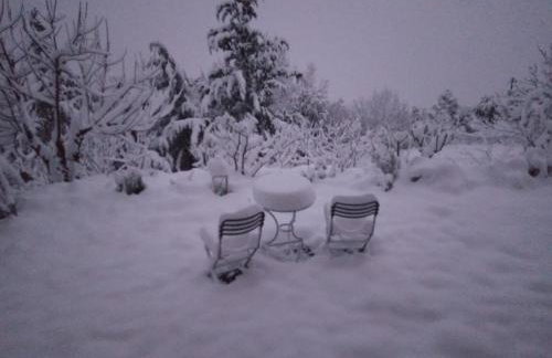 Ipati Forest Chalet - Foto 10