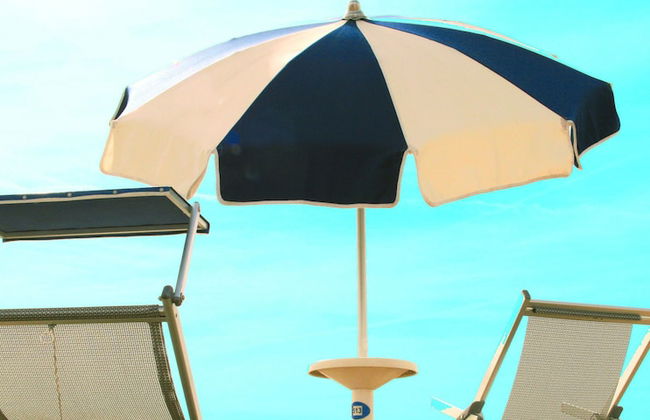 Calycanthus - Foto 50