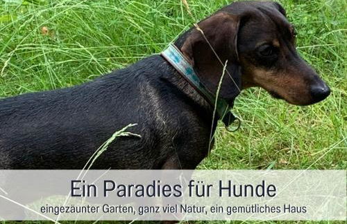 Ferienhaus Dackelglück - Foto 21