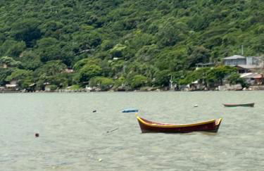 Encanto dos Pássaros - Foto 52