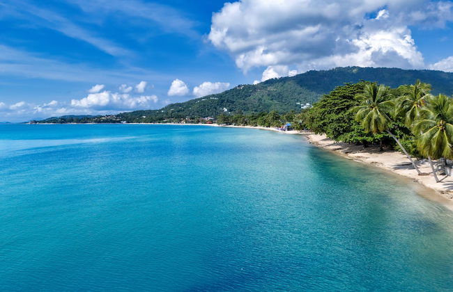 The Bulin Residence - Foto 41