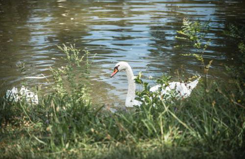 Château Emile Loubet - appartement Maréchal Foch - Foto 10