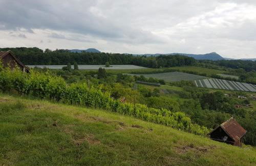 Ferienwohnung Burgblick im Neuffener Tal mit Sauna und Wallbox - Foto 48