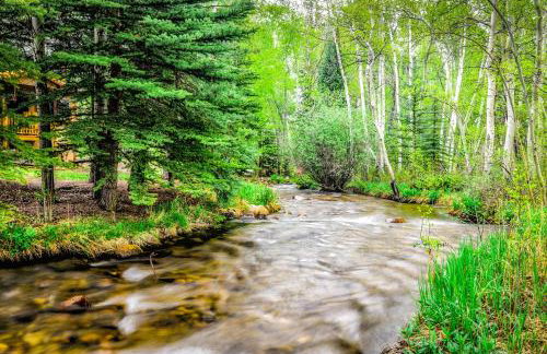 Riverfront Retreat in Nathrop Fire Pits and Hot Tub - Foto 38