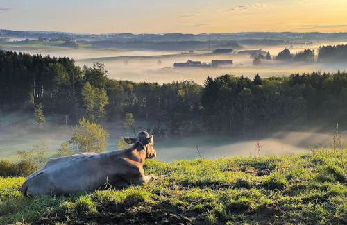 Ferienwohnung Hintermoos - Foto 58
