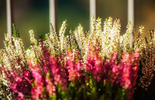 La Casa di Emy - Photo 58