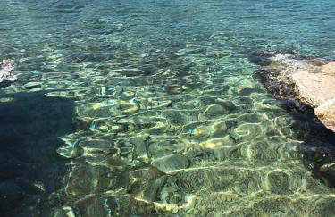 EllaVis Apartments - Photo 56