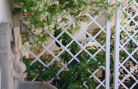 Stella Dei Campi - Foto 28