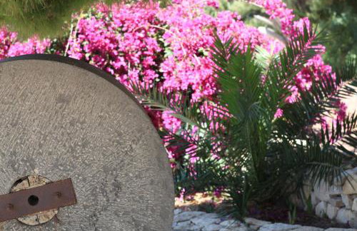 Terre Di Vendicari - Photo 60